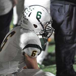 Meet your Posher, Max